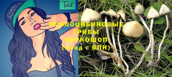 метадон Белокуриха