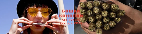 ГАЛЛЮЦИНОГЕННЫЕ ГРИБЫ Баксан