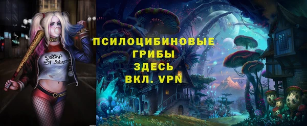 ПСИЛОЦИБИНОВЫЕ ГРИБЫ Беломорск