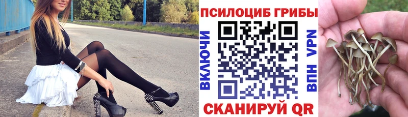 Галлюциногенные грибы GOLDEN TEACHER  Колпашево 